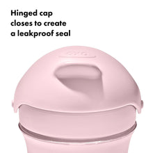 Load image into Gallery viewer, OXO Tot Transitions 9oz Straw Cup - Blossom