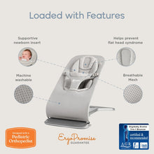 Load image into Gallery viewer, Ergobaby Evolve Bouncer Mesh - Sage Green Mesh