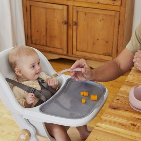 Ergobaby Highchair