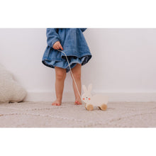 Load image into Gallery viewer, Bubble Wooden Rabbit Pull Along