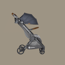 Load image into Gallery viewer, Ergobaby Metro+ Deluxe Compact City Stroller - Empire State Green